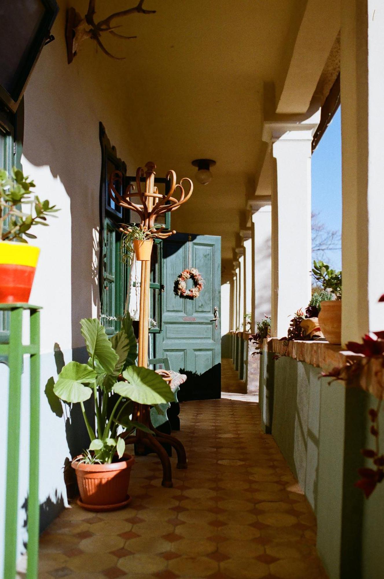 Tradicionalna Kuca Biljkinog Oca Villa Lug Ngoại thất bức ảnh